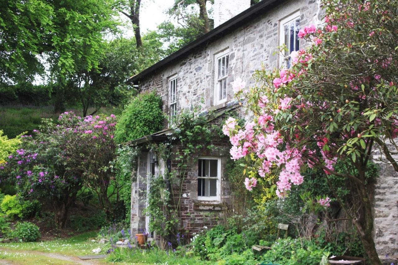 Devon Country Paradise تافيستوك المظهر الخارجي الصورة