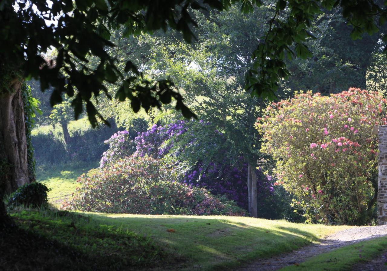 Devon Country Paradise تافيستوك المظهر الخارجي الصورة