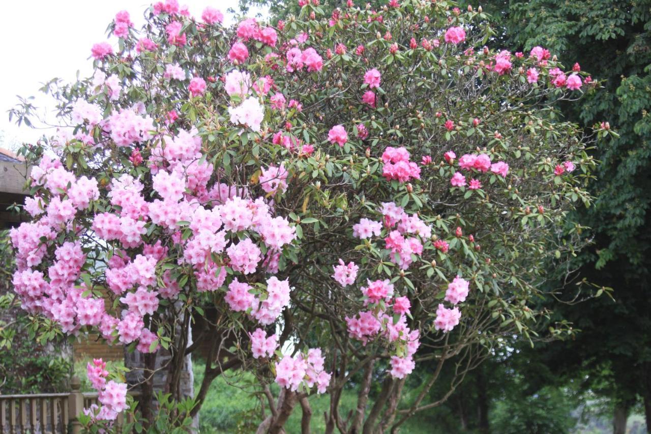 Devon Country Paradise تافيستوك المظهر الخارجي الصورة