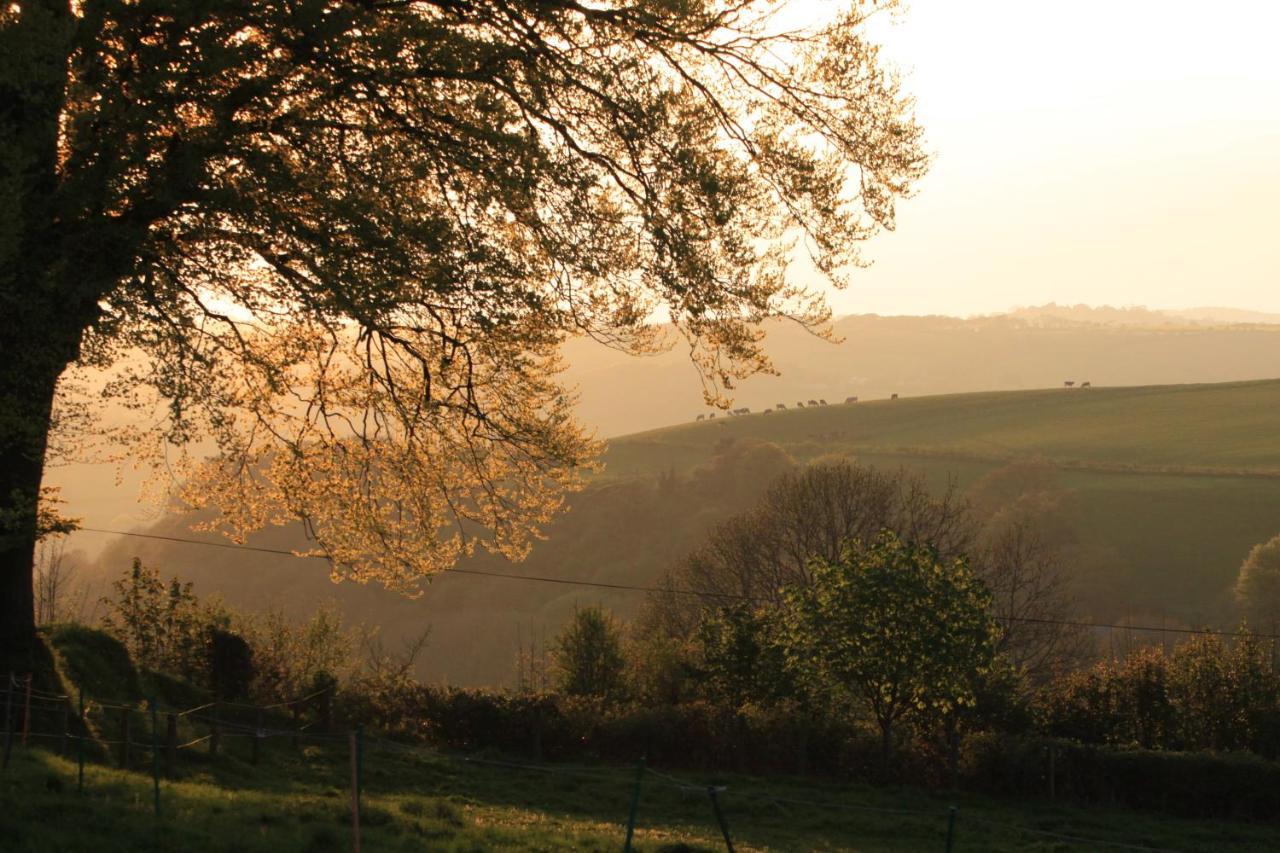 Devon Country Paradise تافيستوك المظهر الخارجي الصورة
