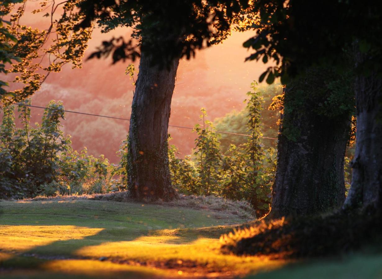 Devon Country Paradise تافيستوك المظهر الخارجي الصورة