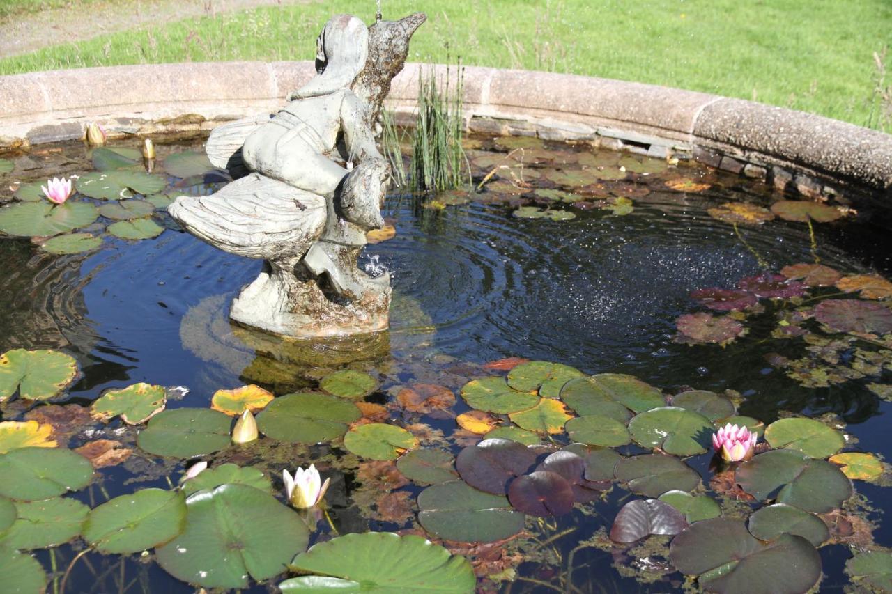 Devon Country Paradise تافيستوك المظهر الخارجي الصورة