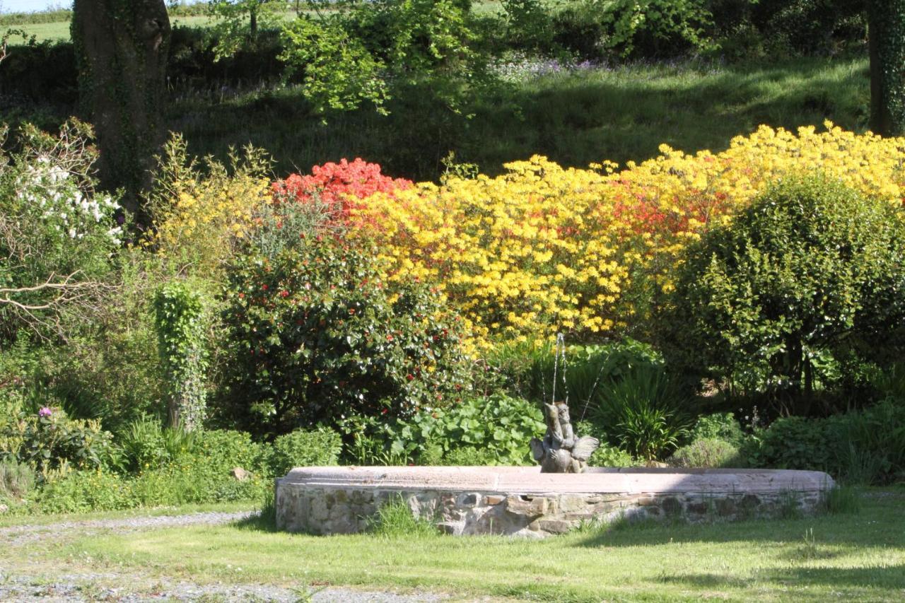 Devon Country Paradise تافيستوك المظهر الخارجي الصورة